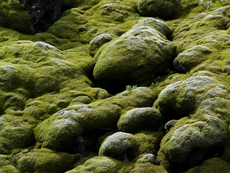 DSC08814a