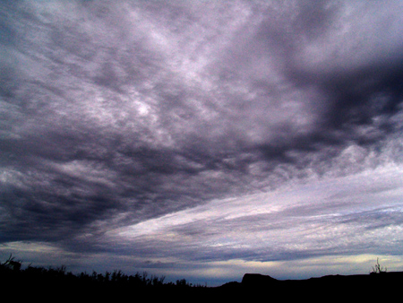 DSC06626a