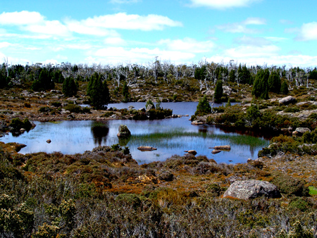 DSC06681a