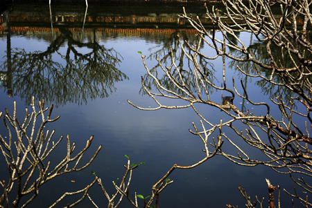 DSC04436a